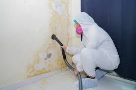 Mold Documentation for Insurance Claims in La Porte, TX